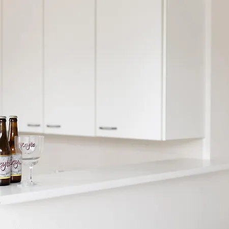 Leo & De Walvis * オステンド